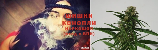 хмурый Нея