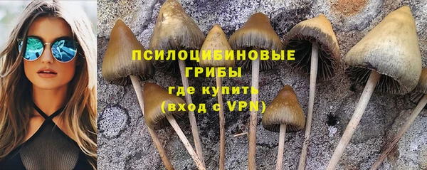 винт Нефтегорск