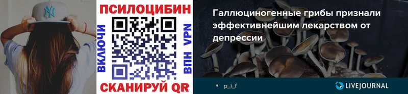 как найти наркотики Коммунар Галлюциногенные грибы Psilocybine cubensis